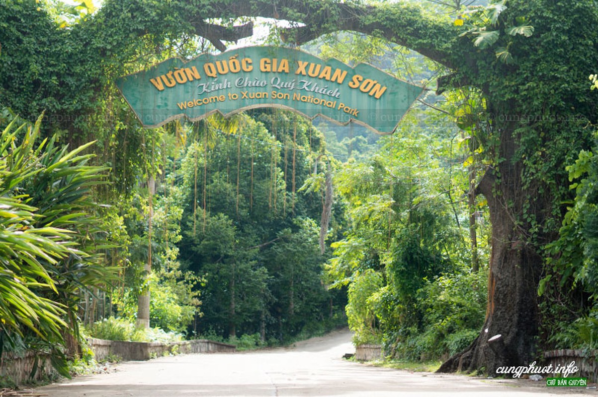 Bau vat troi ban o VQG Xuan Son, nghe thoi da thay thich me-Hinh-3