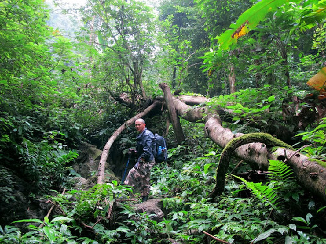 Bau vat troi ban o VQG Xuan Son, nghe thoi da thay thich me-Hinh-4