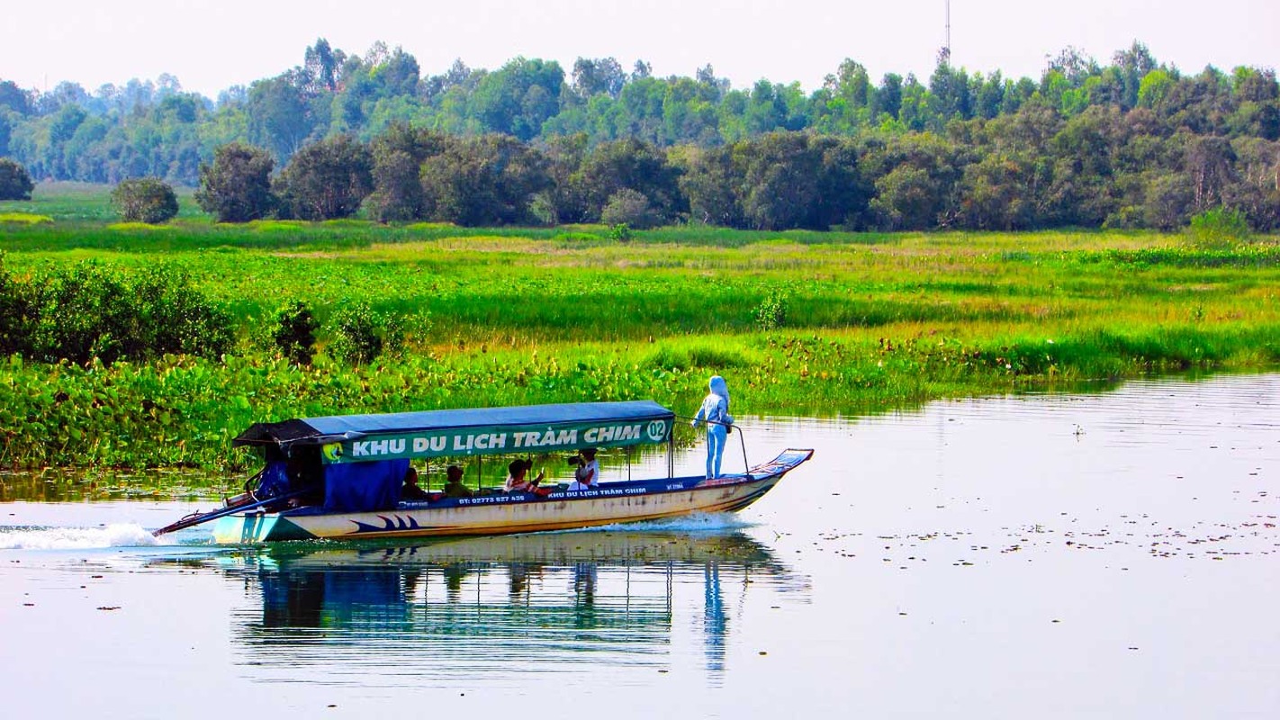 Ky la “vu khuc dau do” o Vuon quoc gia Tram Chim-Hinh-15