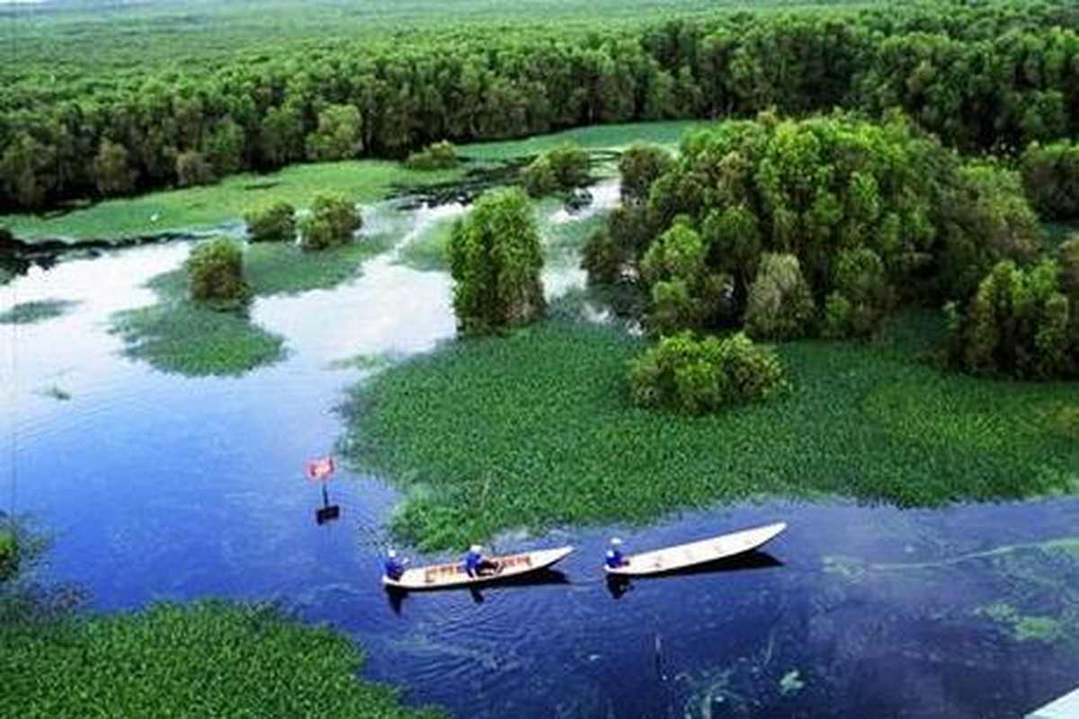 Ky la “vu khuc dau do” o Vuon quoc gia Tram Chim-Hinh-6