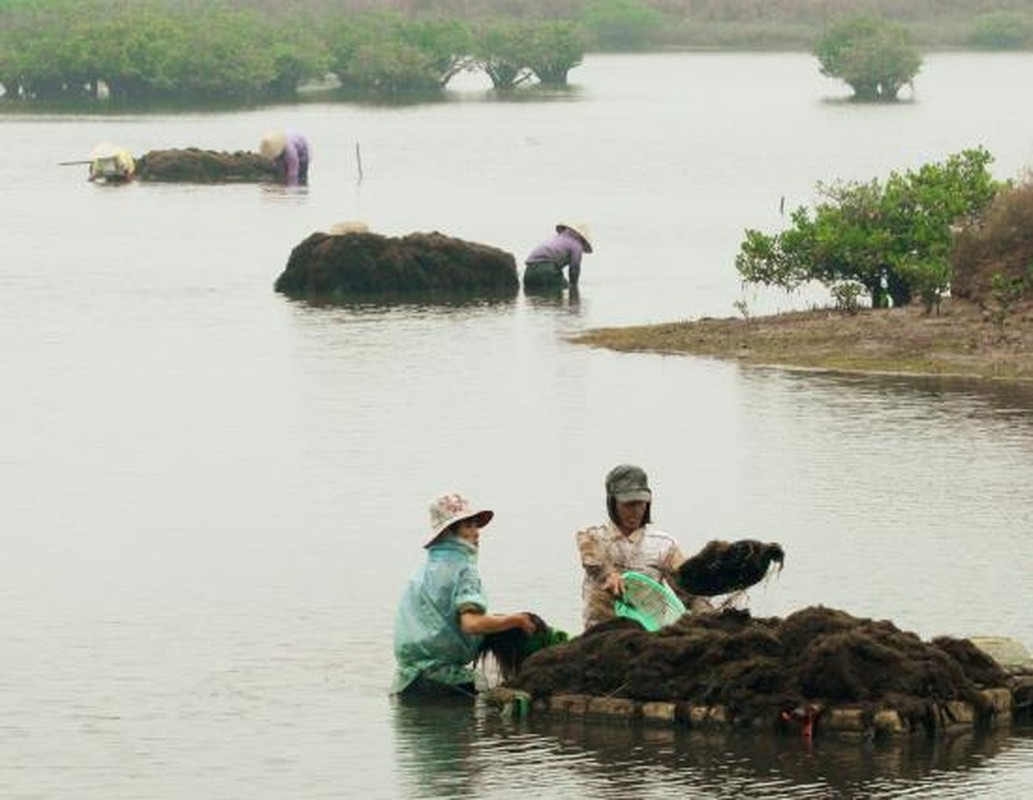 Kham pha bau vat troi ban o Vuon quoc gia nho nhat Viet Nam-Hinh-14