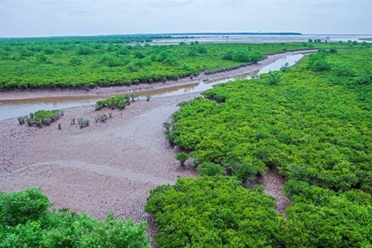 Kham pha bau vat troi ban o Vuon quoc gia nho nhat Viet Nam-Hinh-16