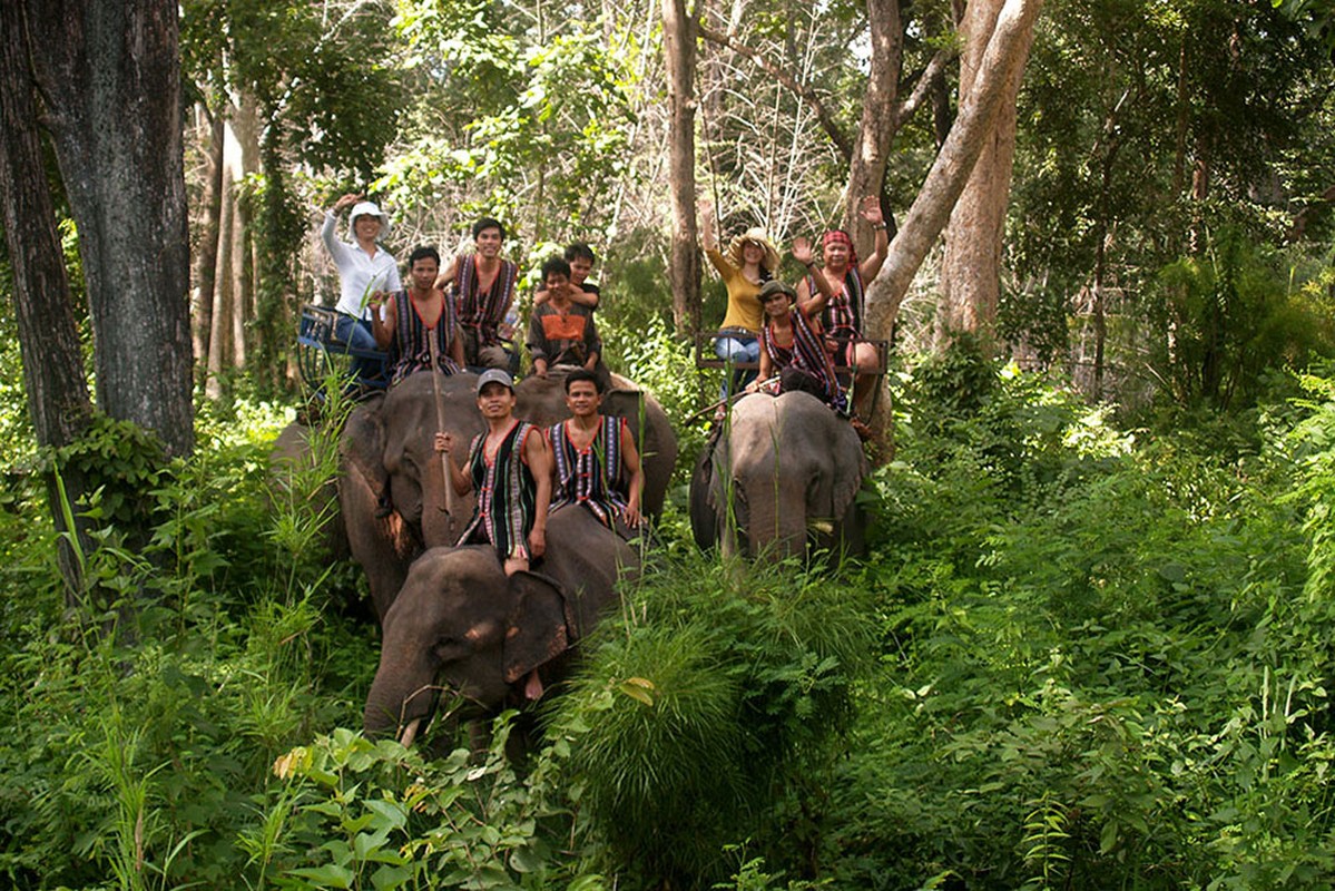 Tan muc kho bau doc nhat vo nhi o Vuon quoc gia Yok Don-Hinh-14