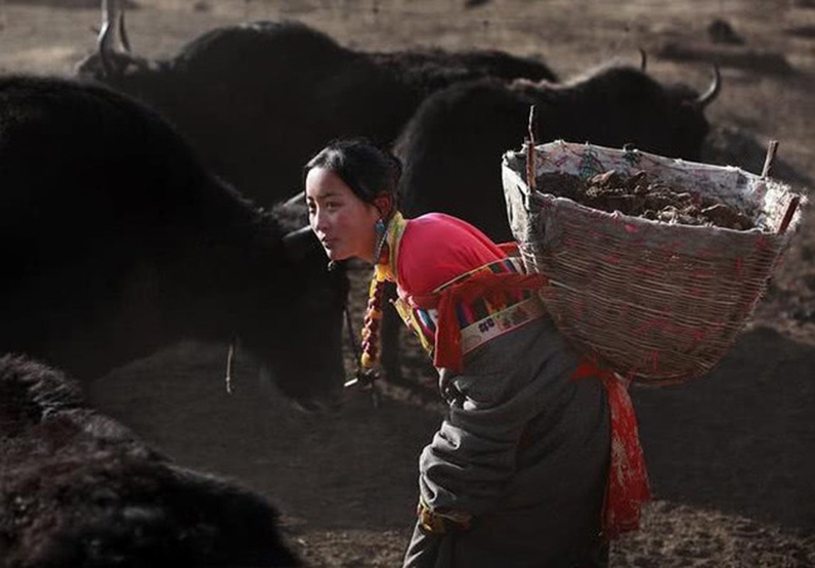 Bi mat giau kin o Tay Tang: Nguoi dan co loai gene dac biet-Hinh-13