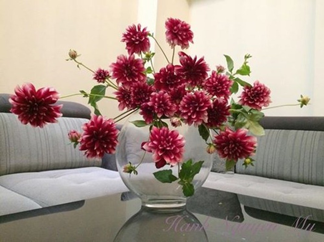 Tranh nhung sai lam nay trong cach choi hoa Tet de hoa ben dep-Hinh-3