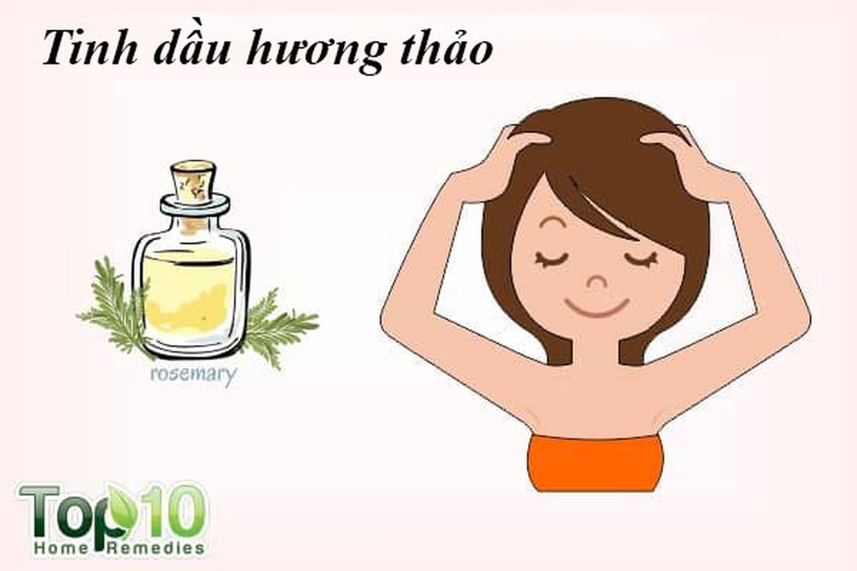 10 cach tri rung toc tu thien nhien hieu qua nhat-Hinh-2