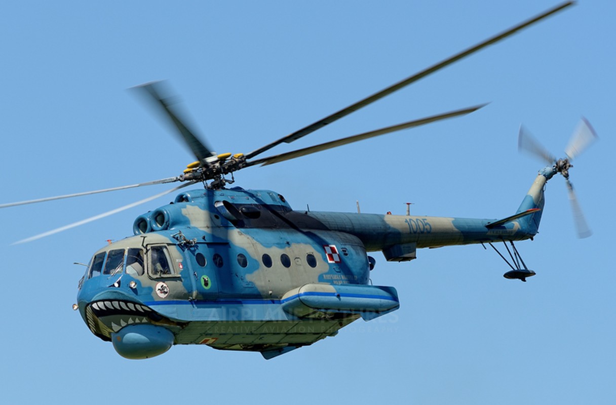 “Sat thu san ngam” Mi-14PL cua Syria bat ngo tai xuat-Hinh-9