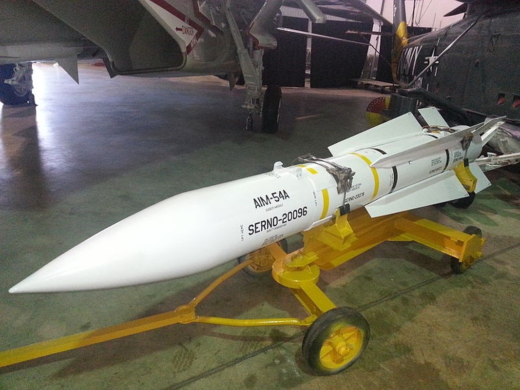 Vi sao ten lua AIM-54 cua Iran khien My “lanh gay”?-Hinh-6