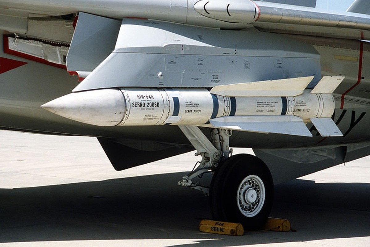 Vi sao ten lua AIM-54 cua Iran khien My “lanh gay”?-Hinh-9