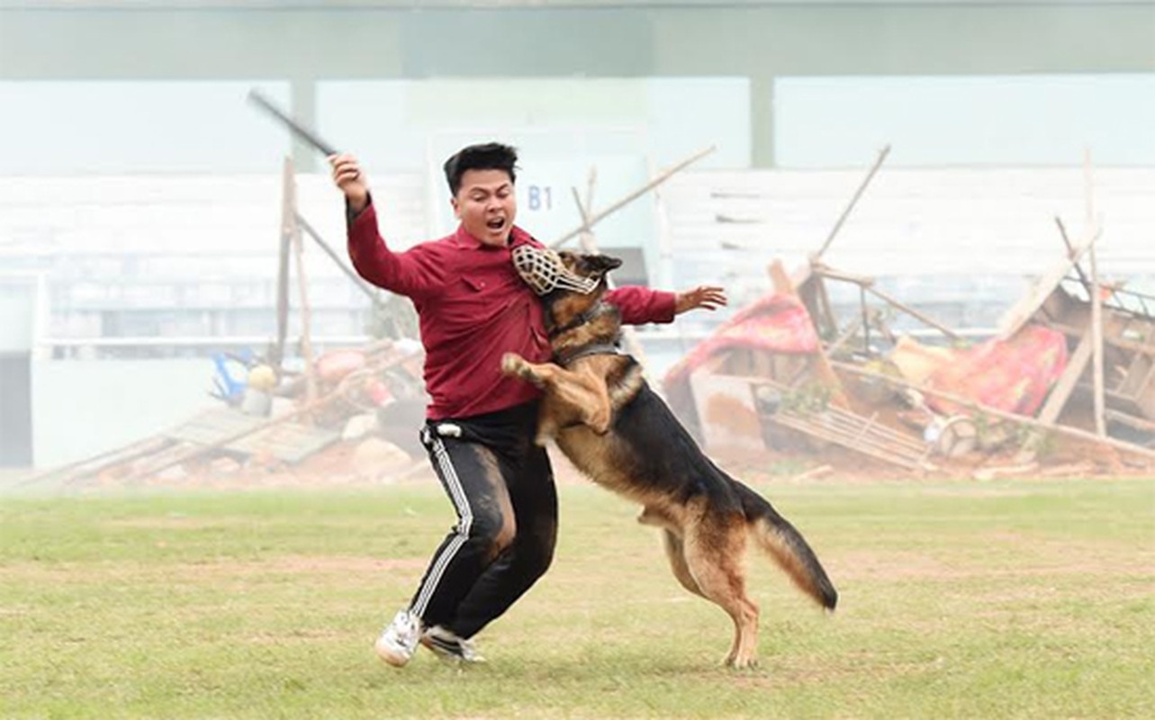 Tuong Thuong Van Toan khen ngoi vo thuat cua bo doi Bien phong Lang Son-Hinh-10