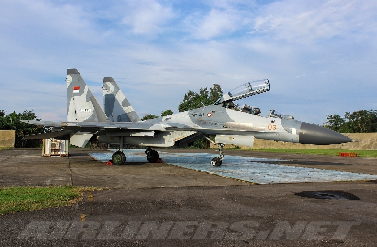 Viet Nam so huu may bay Su-30MK2 nhieu nhat the gioi?-Hinh-14