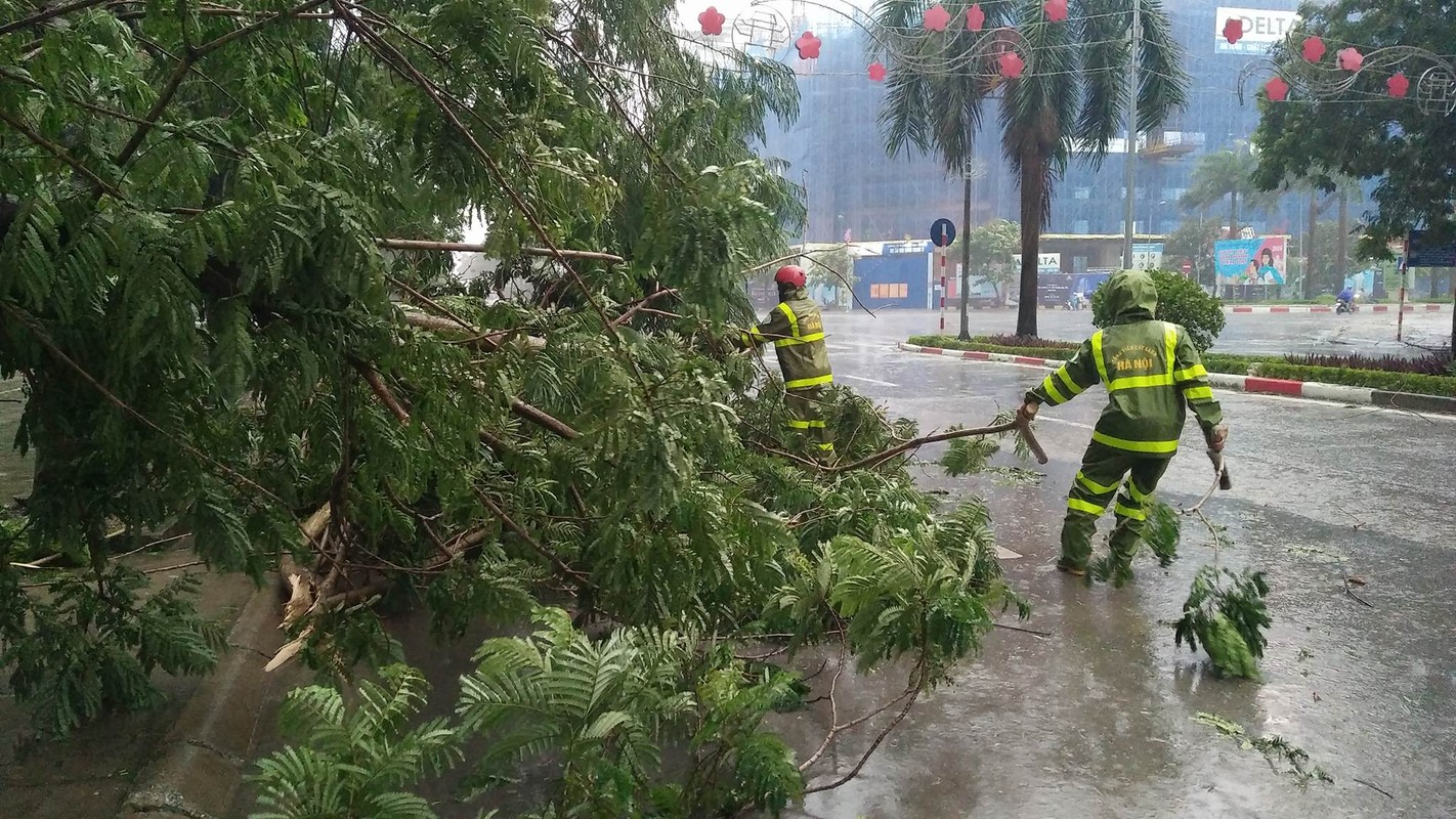 Ha Noi co gio giat cap 8-9, mua rat to, cay do nhieu noi-Hinh-4