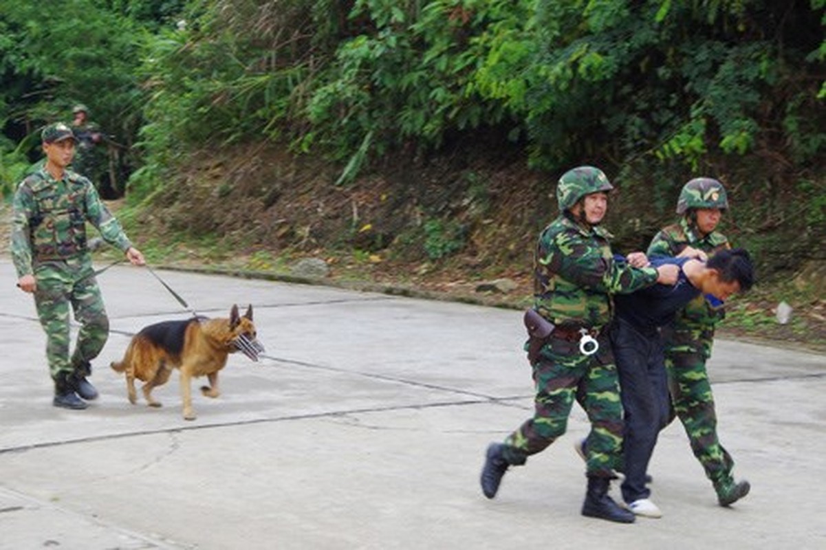 Muc kich Bien phong Viet-Trung dien tap chong khung bo-Hinh-3