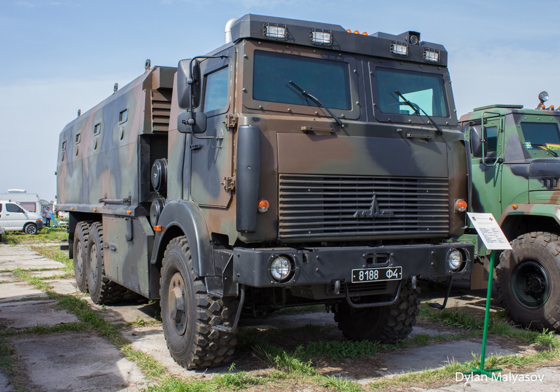 Ve binh Quoc gia Ukraine khoe hang loat xe thiet giap “khung”-Hinh-3