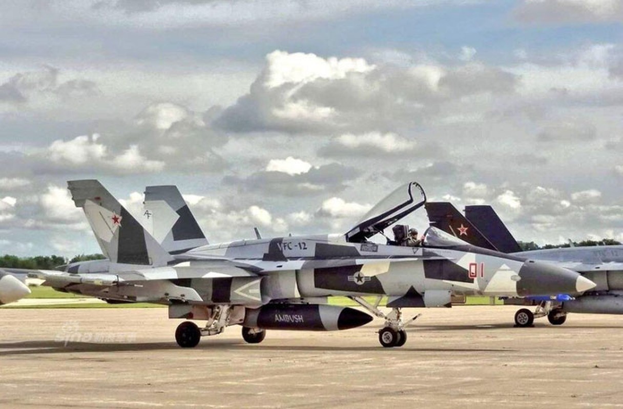 My dinh lam gi khi son F/A-18 giong het Su-34 Nga?-Hinh-3
