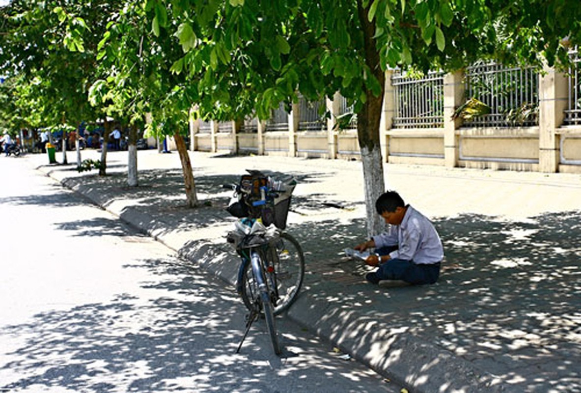 meo lam viec ngoai troi ngan ngua ung thu da hinh anh 1