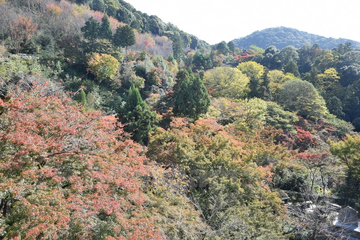 Ngam ngoi chua noi tieng nhat tai co do Kyoto-Hinh-4