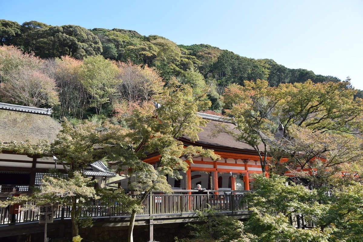 Ngam ngoi chua noi tieng nhat tai co do Kyoto-Hinh-5