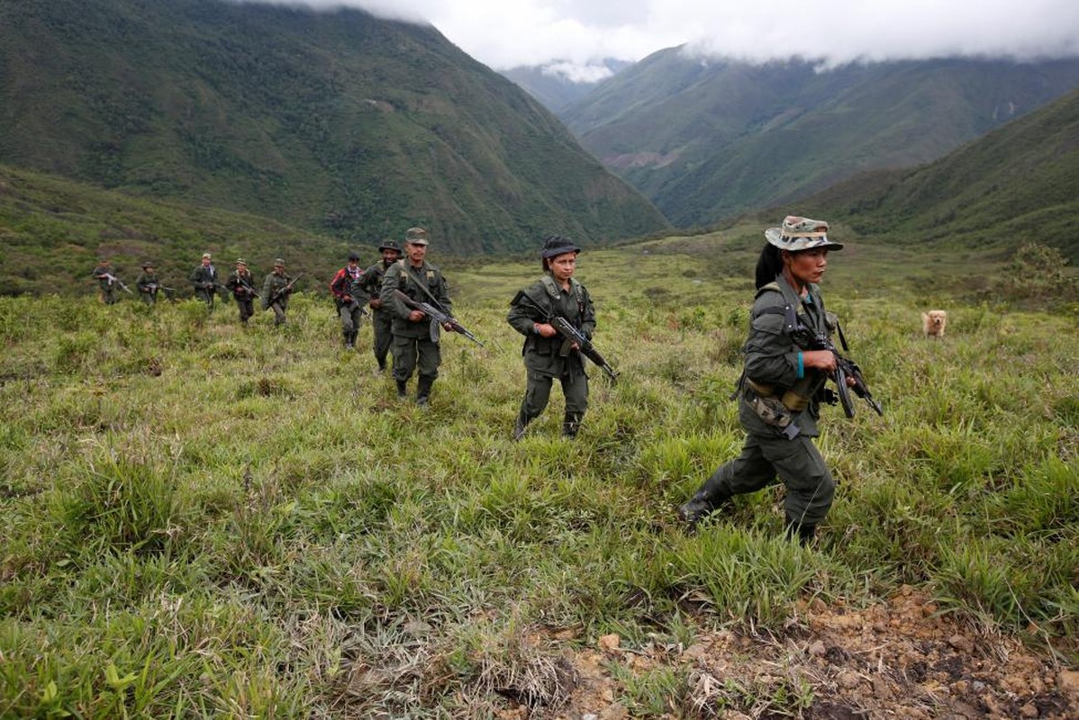 Nhung ngay cuoi cung cua FARC o Clombia-Hinh-6