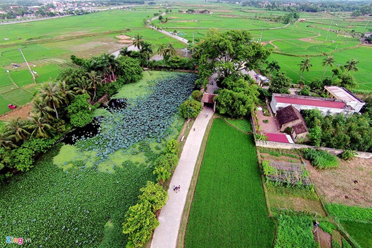 Vi vua Viet nao khien tuong nha Duong so phat benh ma chet?