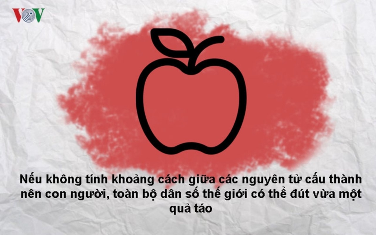 10 su that kho tin khien ban bat ngo ve cuoc song-Hinh-5