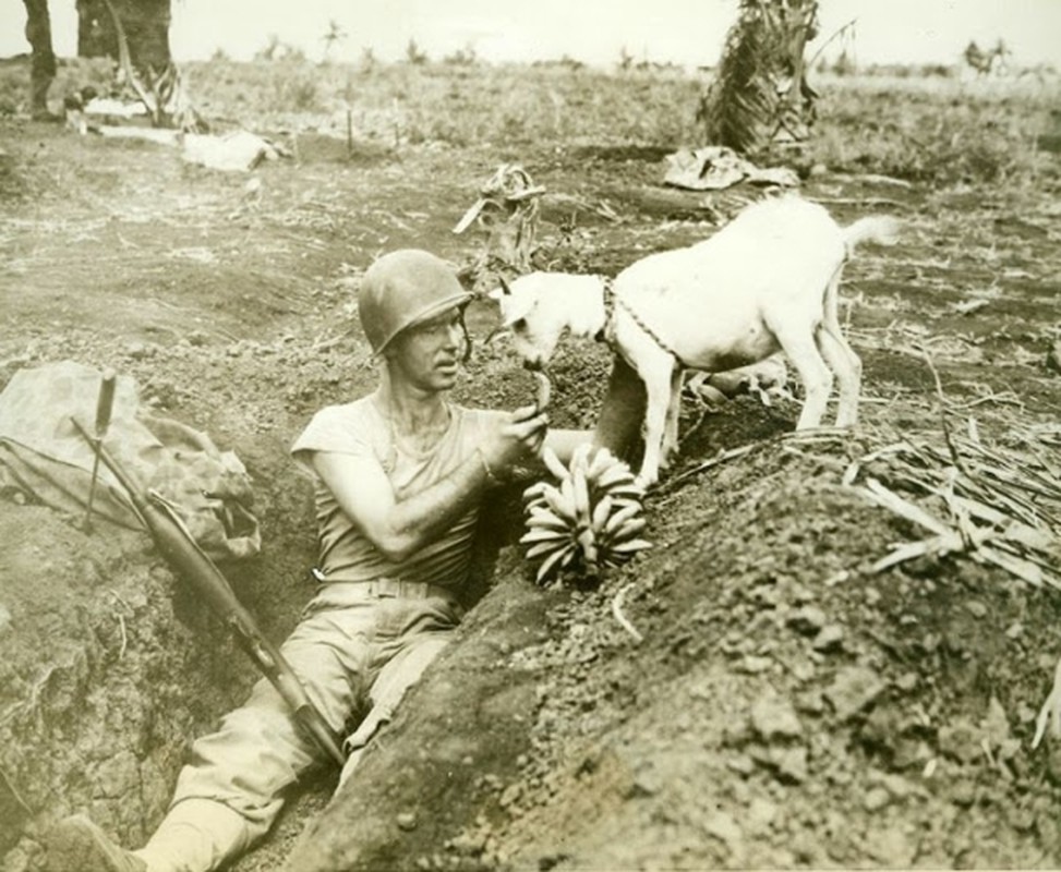 Khoanh khac nghi ngoi hiem hoi cua nguoi linh trong The chien II-Hinh-8