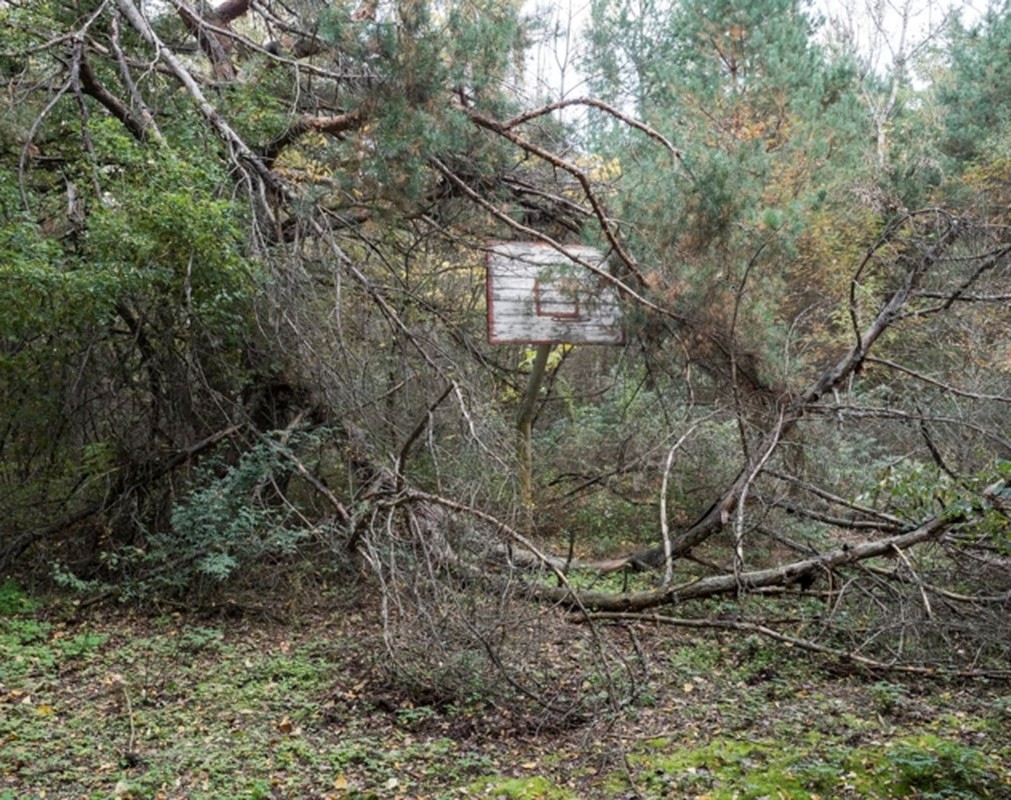 Ve dep am anh ben trong “vung dat ma” Chernobyl-Hinh-12