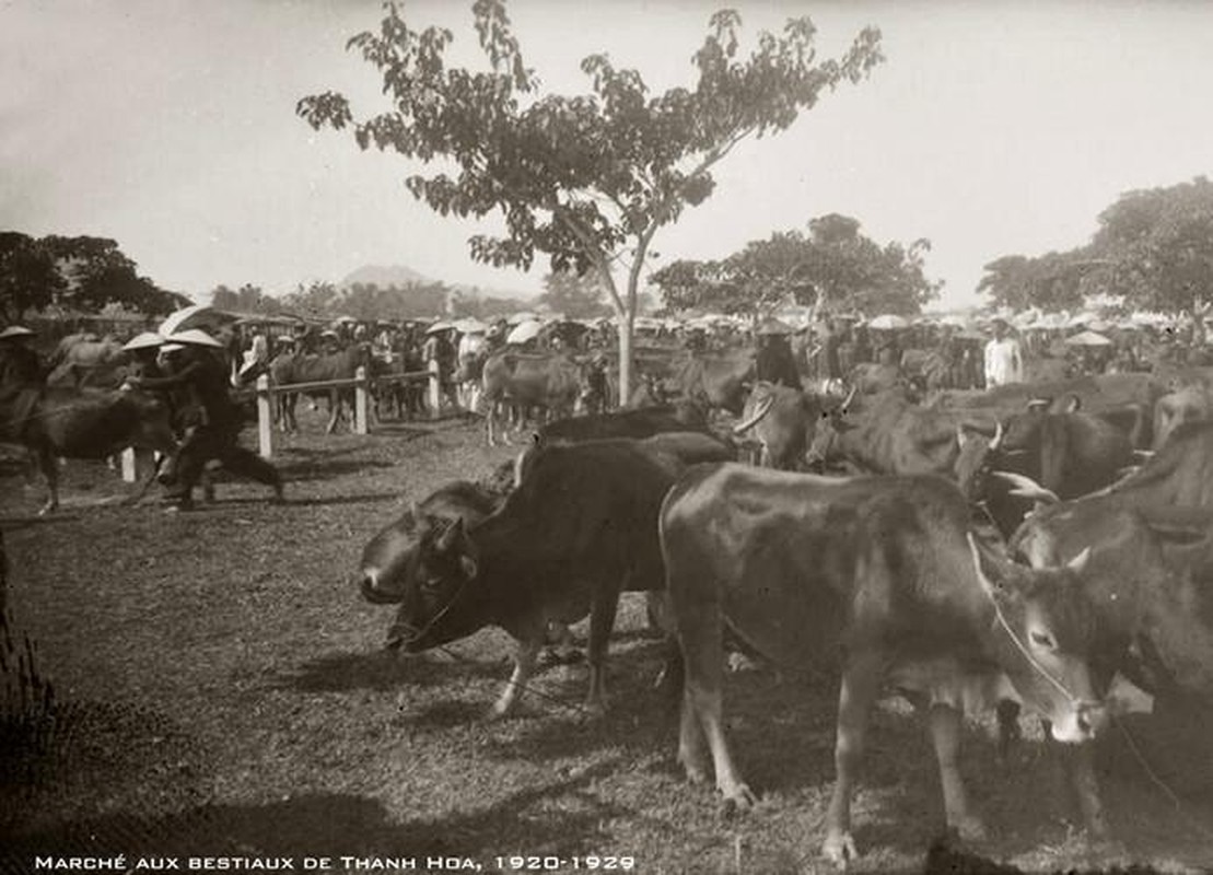 Ngam hinh anh cuc doc ve Thanh Hoa thap nien 1920-Hinh-7