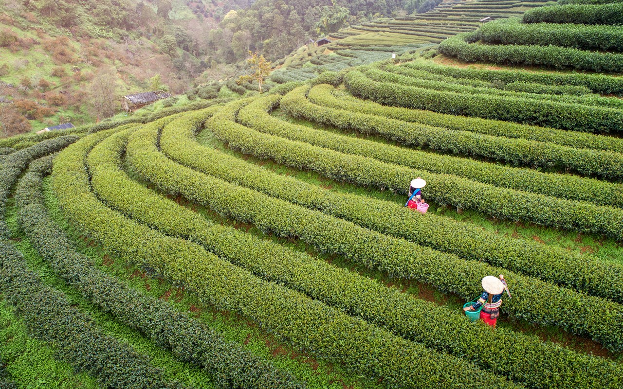 Hoi An dung dau top thanh pho tot nhat the gioi nam 2019-Hinh-4