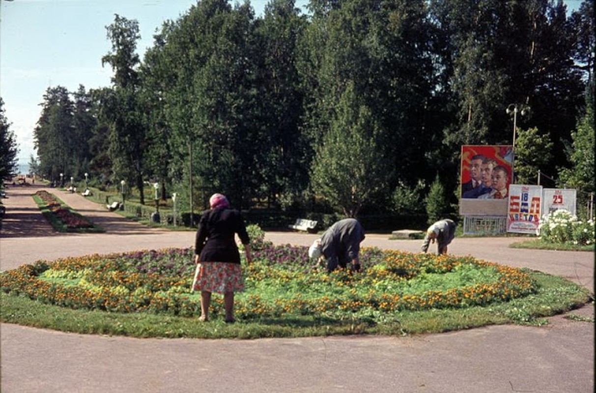 Anh mau sieu an tuong ve duong pho Leningrad nhung nam 1960-Hinh-3