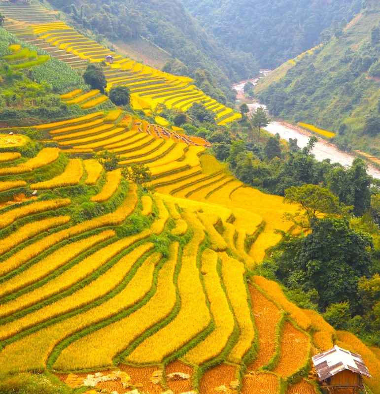 CNTraveler: Mu Cang Chai lot top dia diem ruc ro nhat TG-Hinh-3