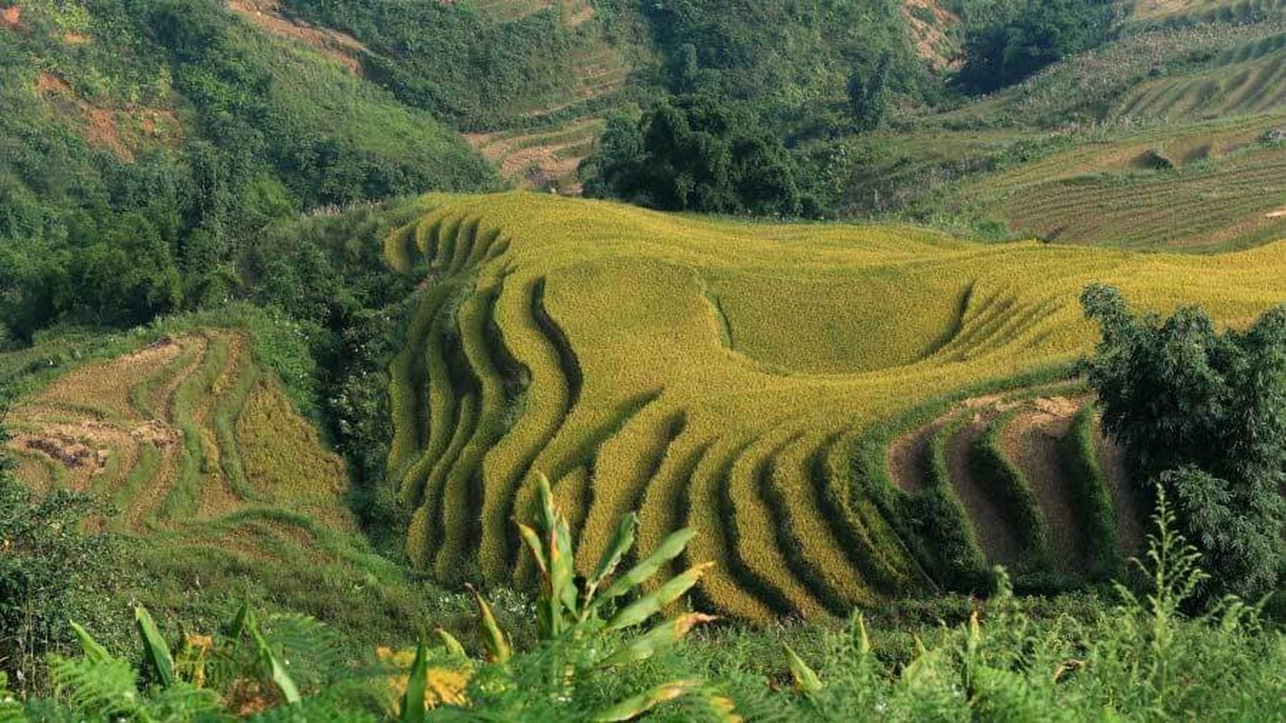 CNN goi y nhung noi hop hon du khach khi o Viet Nam-Hinh-4