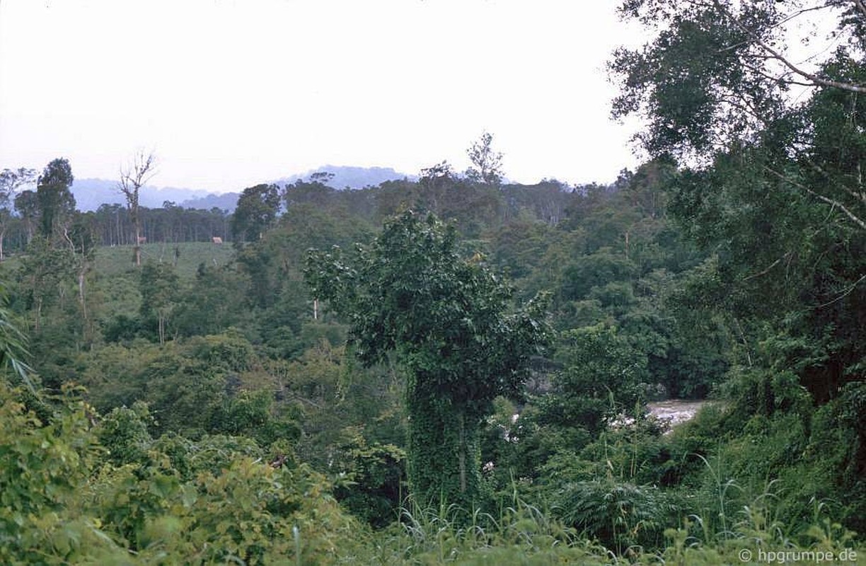 Khac la chum anh mau ve Buon Ma Thuot nam 1992-Hinh-3