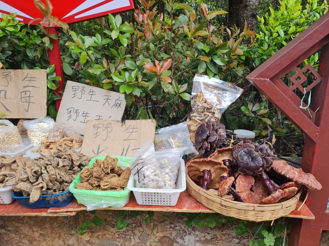 Lac loi o Thuc Ha co tran, canh sac nghin nam quen loi ve-Hinh-17