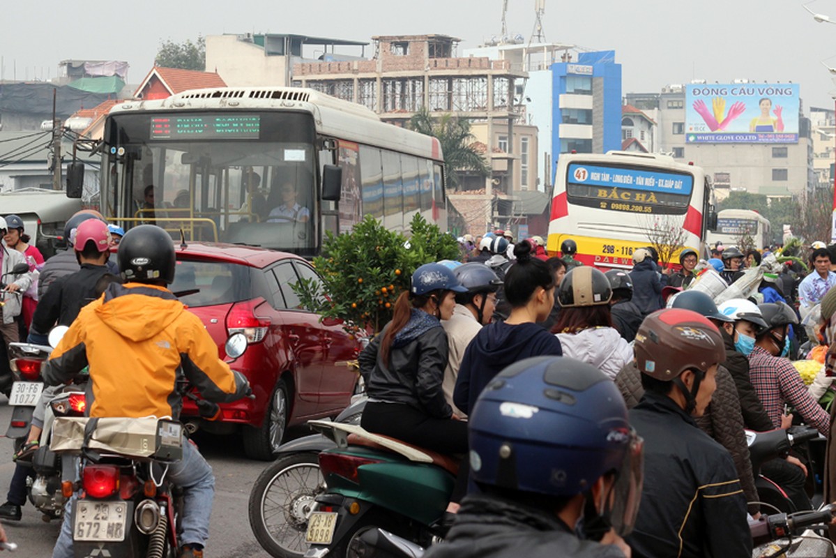 Nguoi Ha Noi chen nhau nghet tho o cho hoa ngay 29 Tet-Hinh-10