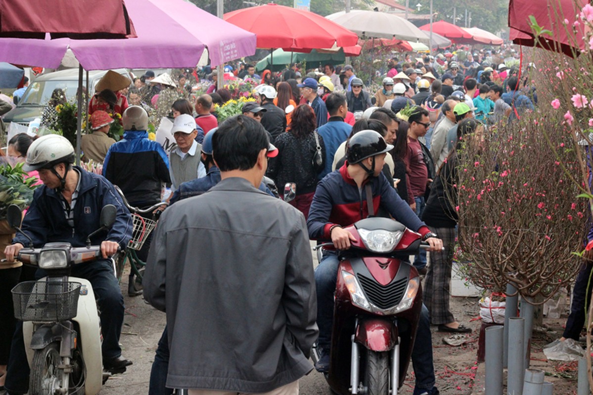 Nguoi Ha Noi chen nhau nghet tho o cho hoa ngay 29 Tet-Hinh-2