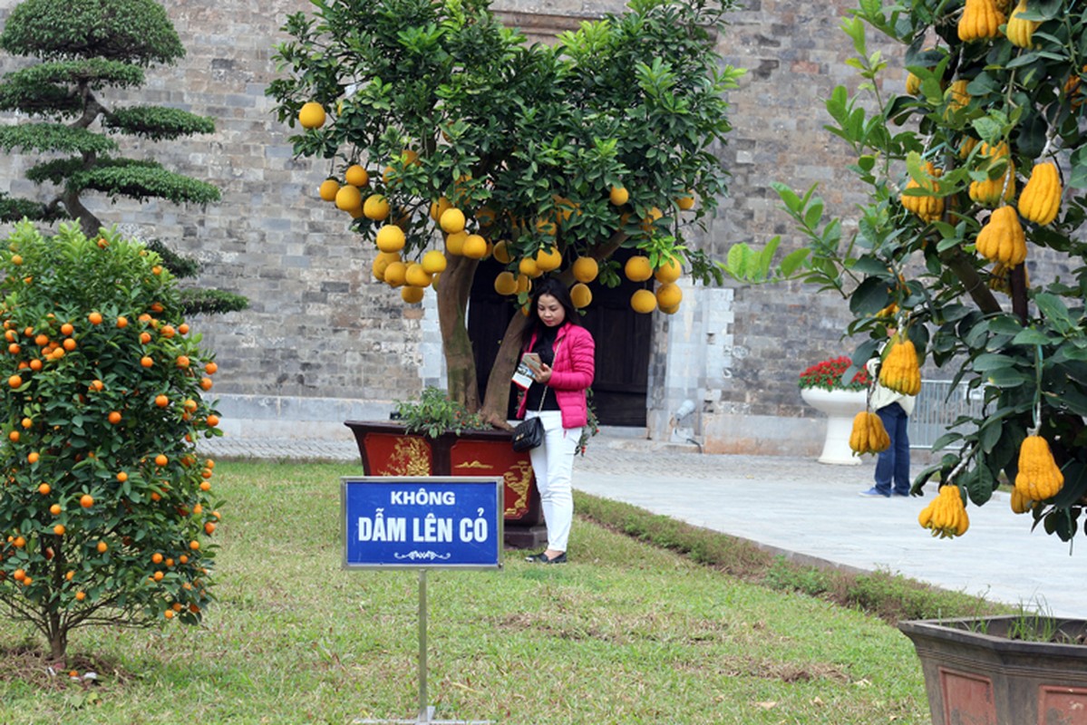 Hinh anh xau xi cua du khach den vui xuan o Hoang Thanh Thang Long-Hinh-5