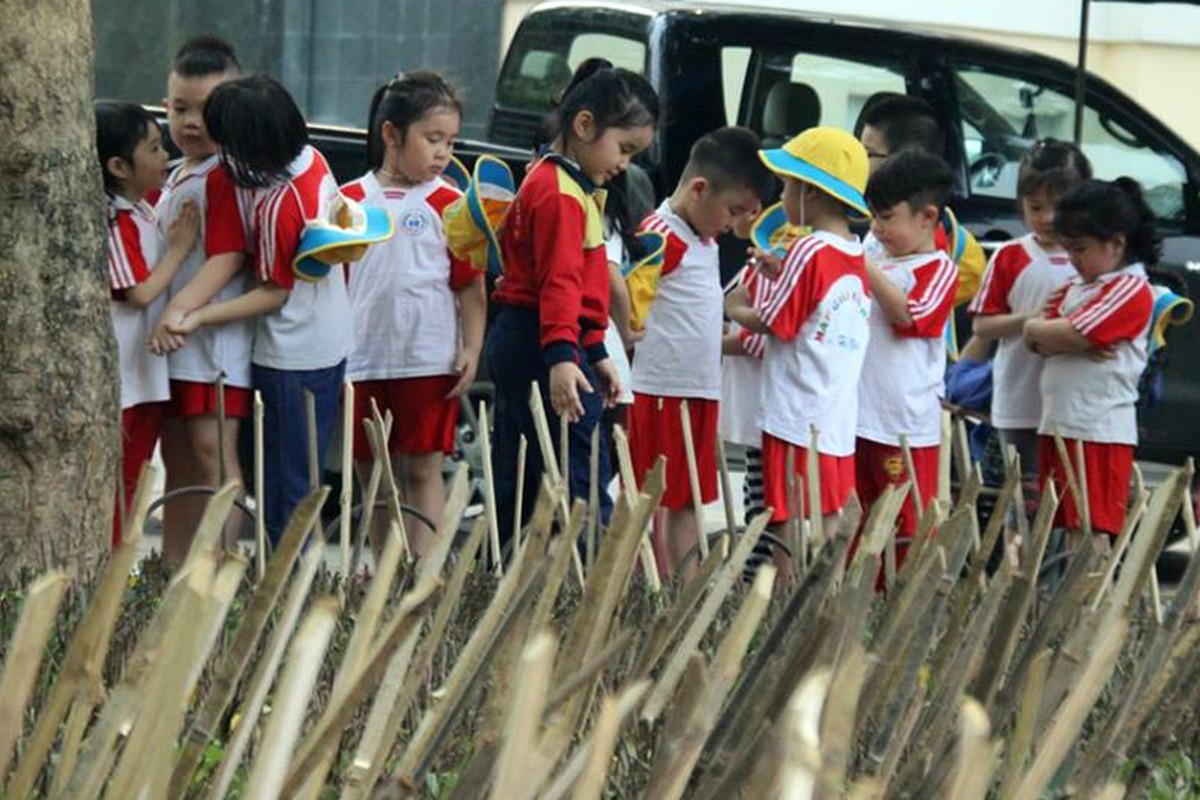 Anh: Hai hung tre nhon nhu chong cam tua tua o vuon hoa Ha Noi-Hinh-6