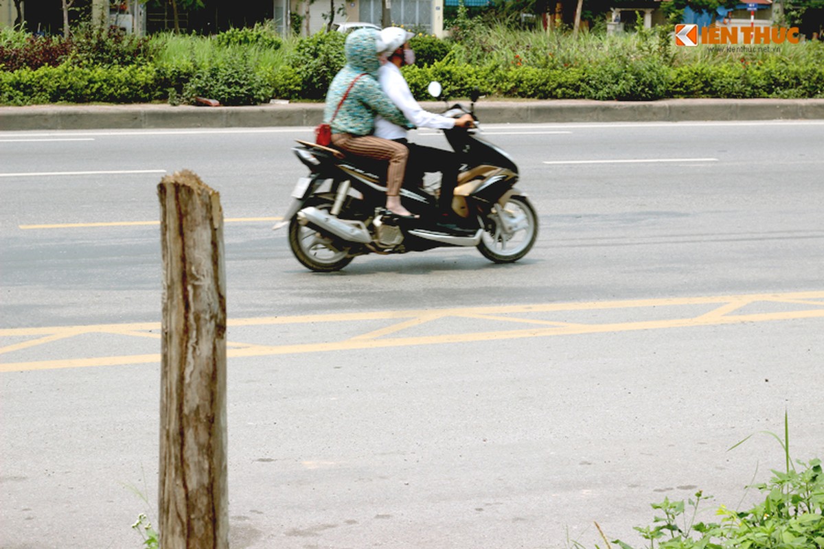 Anh: Hang loat cay xanh chet kho cho do de nguoi o Ha Noi-Hinh-12