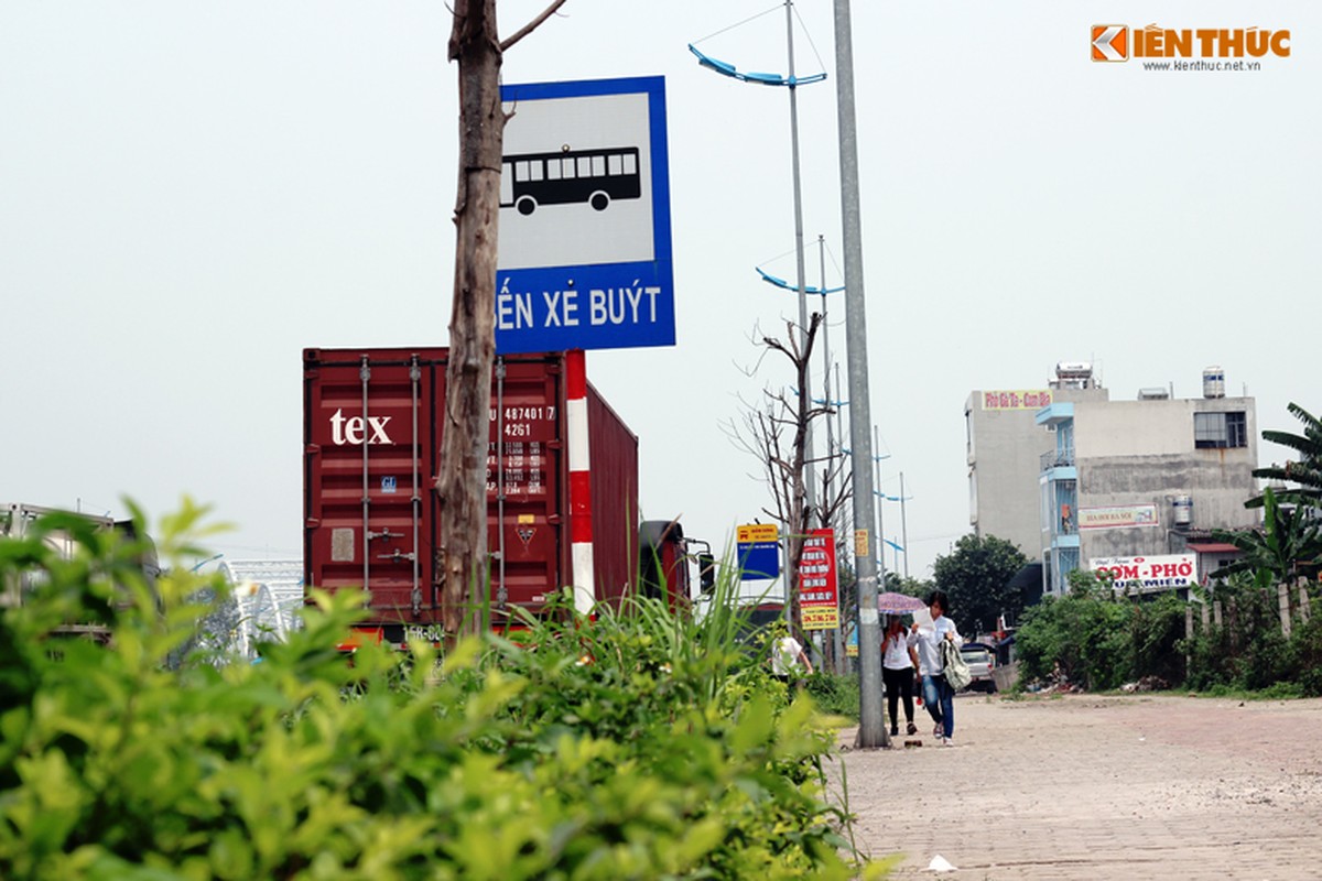 Anh: Hang loat cay xanh chet kho cho do de nguoi o Ha Noi-Hinh-9