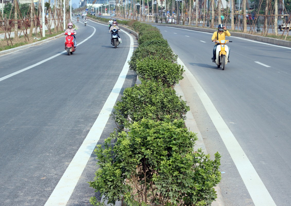 Xe may noi duoi nhau di nguoc chieu tren “con duong vang” Ha Noi-Hinh-6