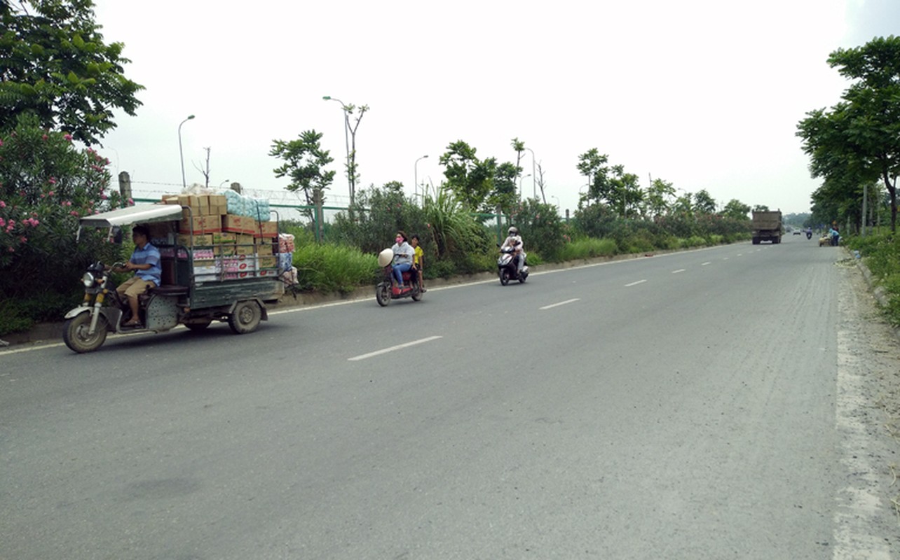 Anh: Rung minh canh phu huynh gion con voi tu than o Ha Noi-Hinh-4