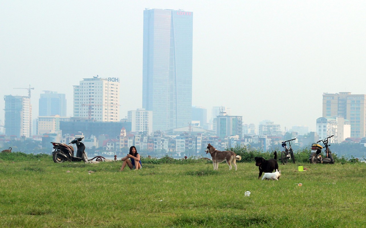 Anh: Rung minh canh phu huynh gion con voi tu than o Ha Noi-Hinh-9