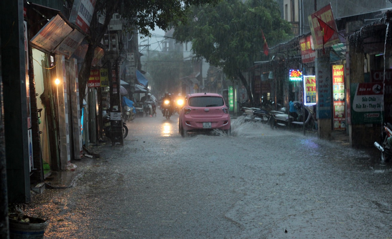 Anh: Ha Noi mua dong sau nhung ngay nang nong nhu thieu dot-Hinh-10