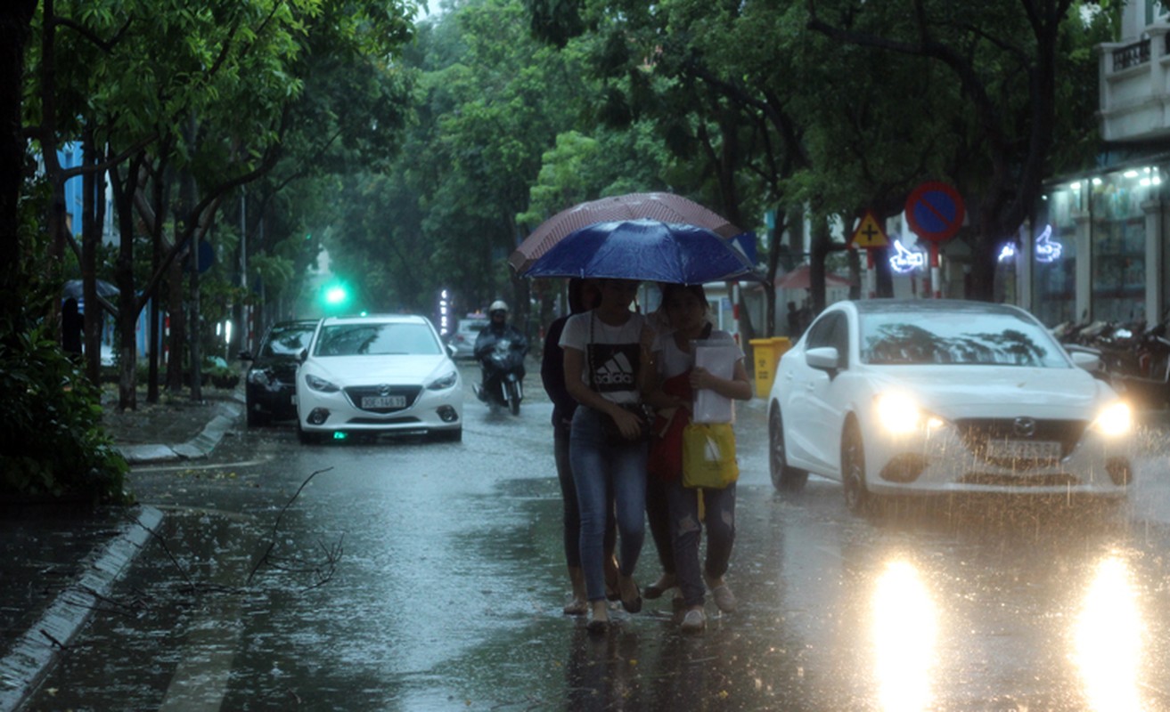 Anh: Ha Noi mua dong sau nhung ngay nang nong nhu thieu dot-Hinh-15