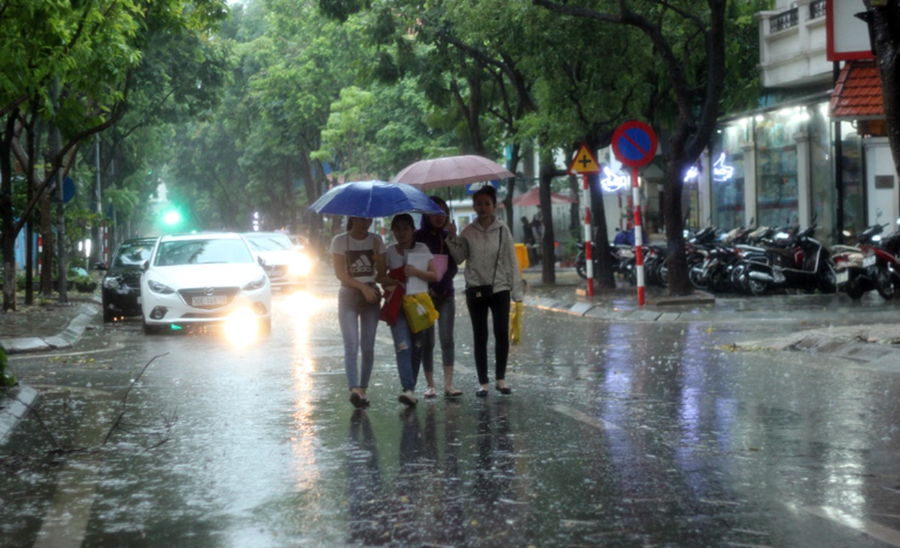 Anh: Ha Noi mua dong sau nhung ngay nang nong nhu thieu dot-Hinh-8