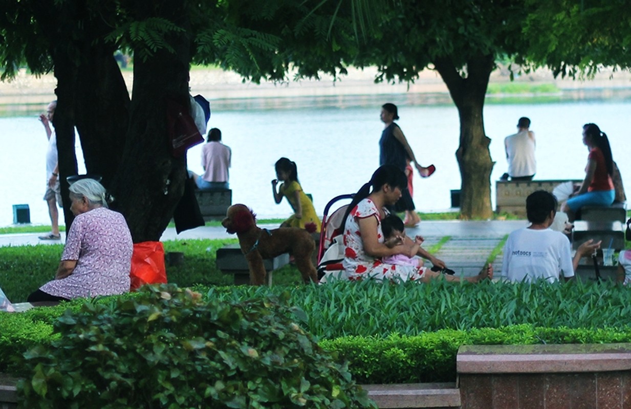 Bat chap lenh phat, cho khong ro mom “tung tang” tren pho Ha Noi-Hinh-5