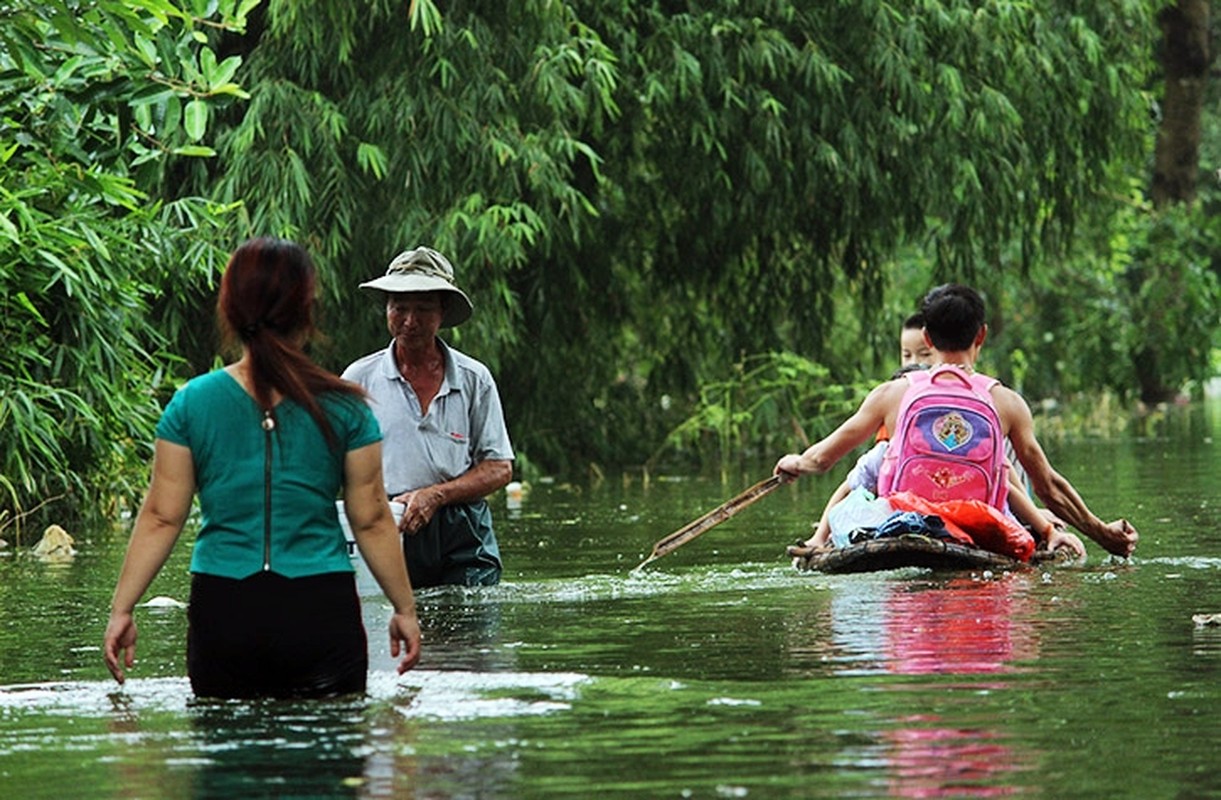 Ngap lut o Chuong My: Nguoi len noc, nhuong nha cho lon ga-Hinh-2