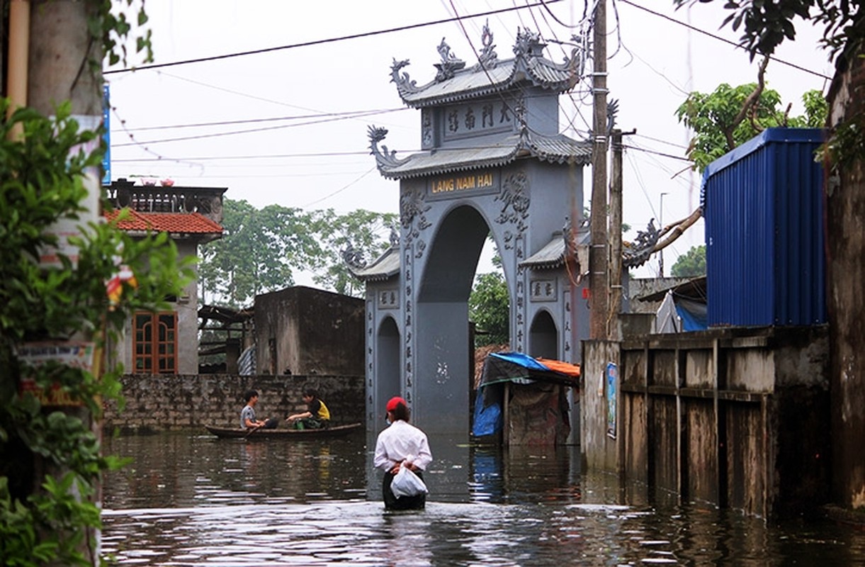 Ngap lut o Chuong My: Nguoi len noc, nhuong nha cho lon ga-Hinh-3