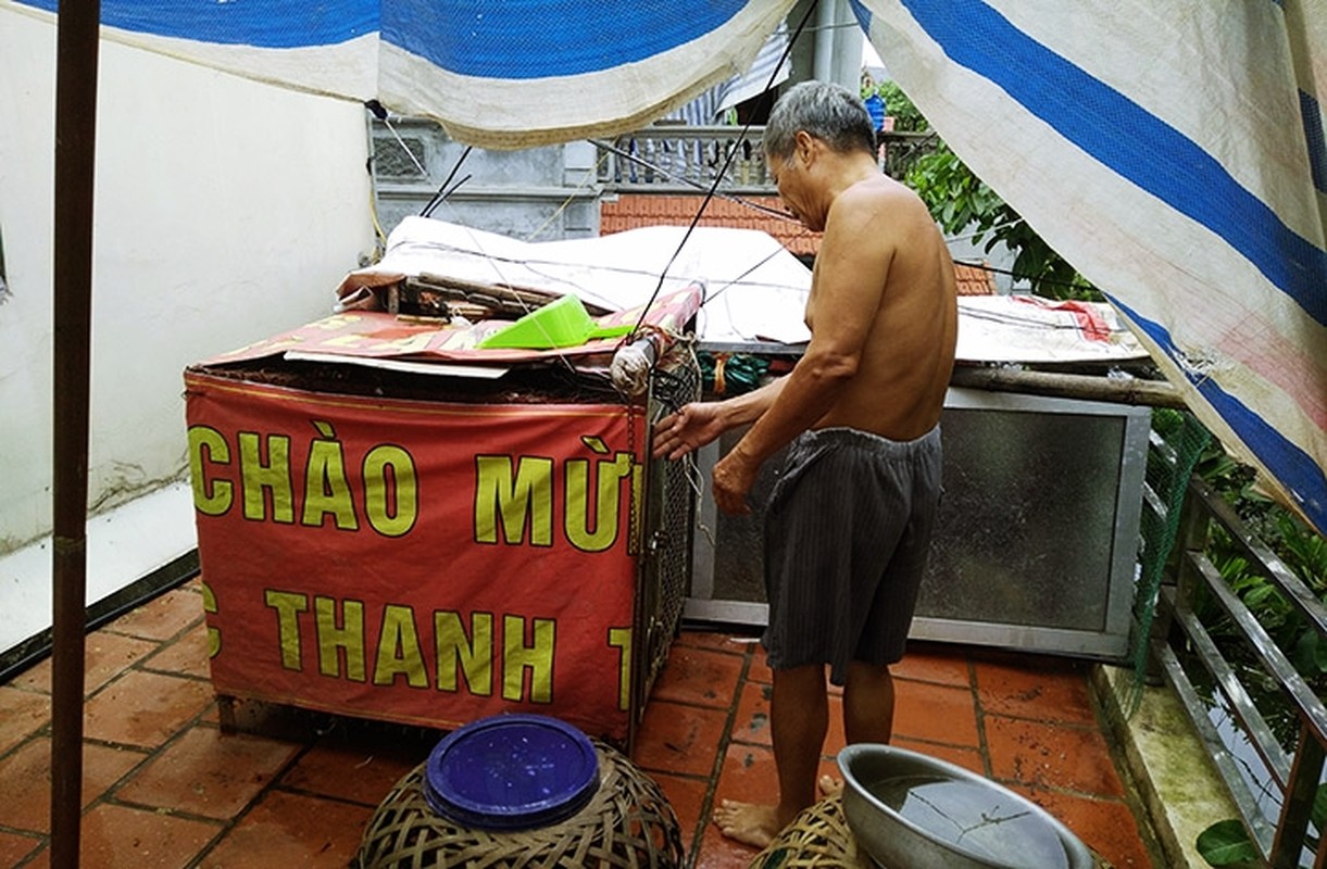 Ngap lut o Chuong My: Nguoi len noc, nhuong nha cho lon ga-Hinh-7